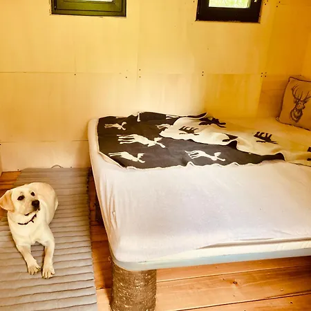 Centra Shambhala Lucka