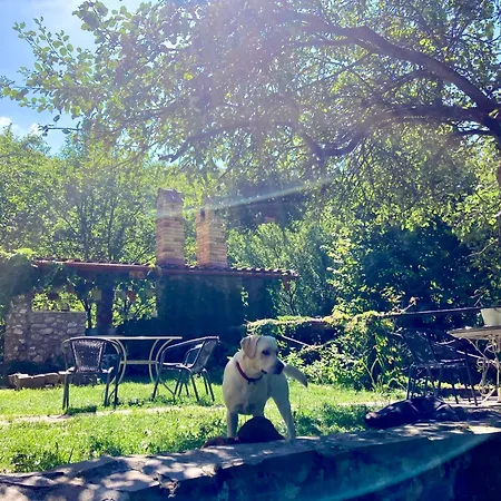 Centra Shambhala Parque de Campismo *