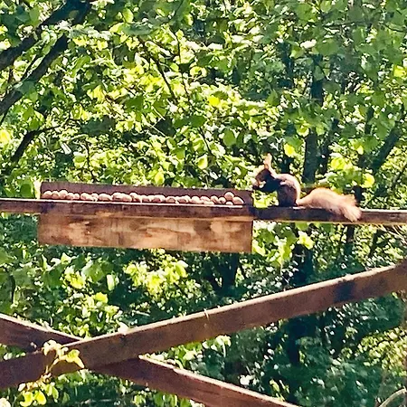 Centra Shambhala * Lucka