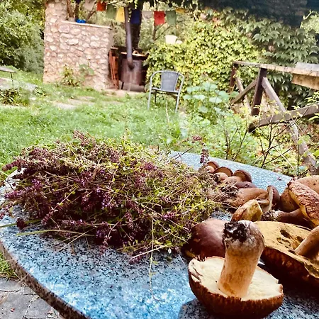 Centra Shambhala Parque de Campismo