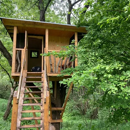 Centra Shambhala * Lucka