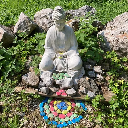 营地 Centra Shambhala