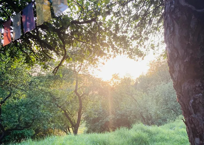 营地 Centra Shambhala