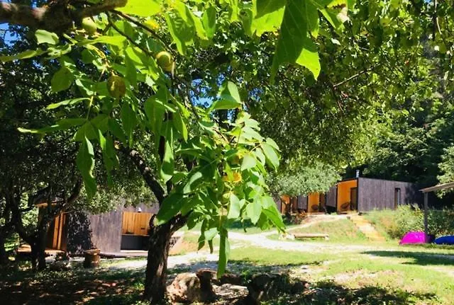 Centra Shambhala 营地 *