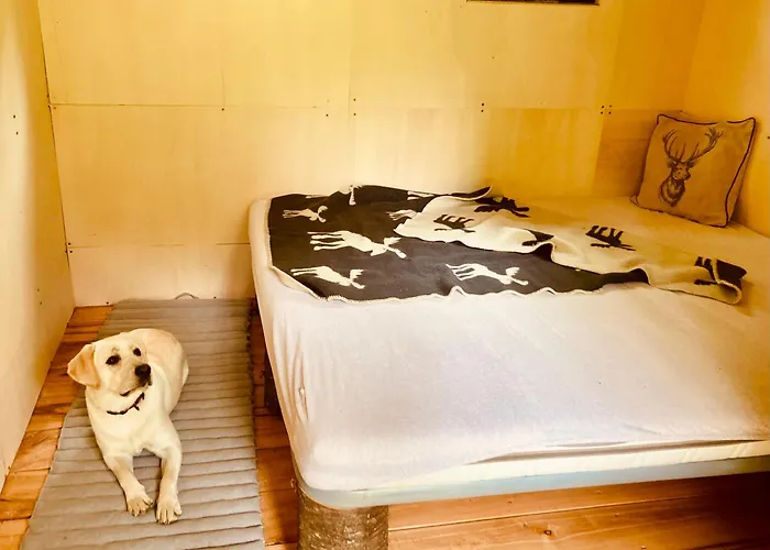 Centra Shambhala Lucka