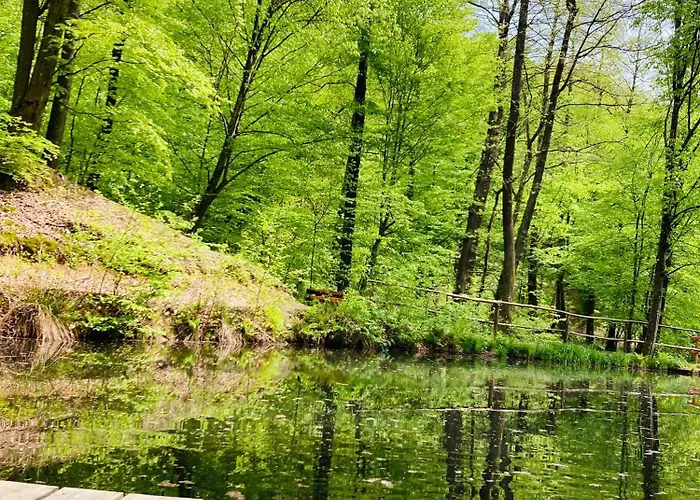 Centra Shambhala 营地