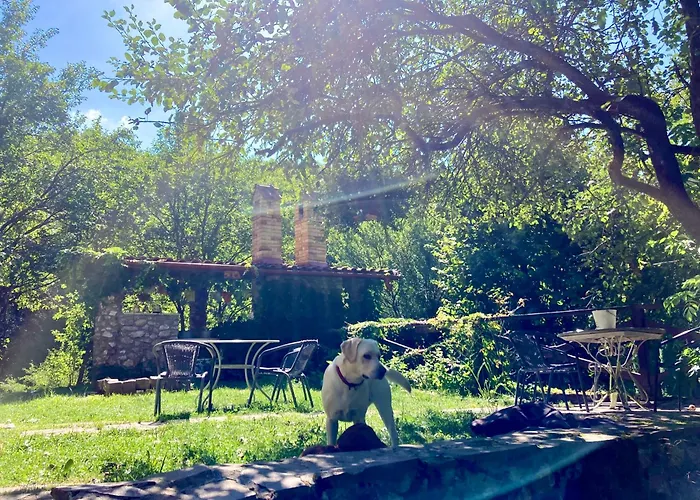 Centra Shambhala 营地 *