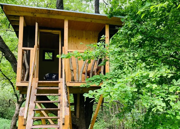 营地 Centra Shambhala *