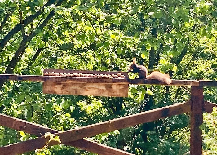 Centra Shambhala * Lucka