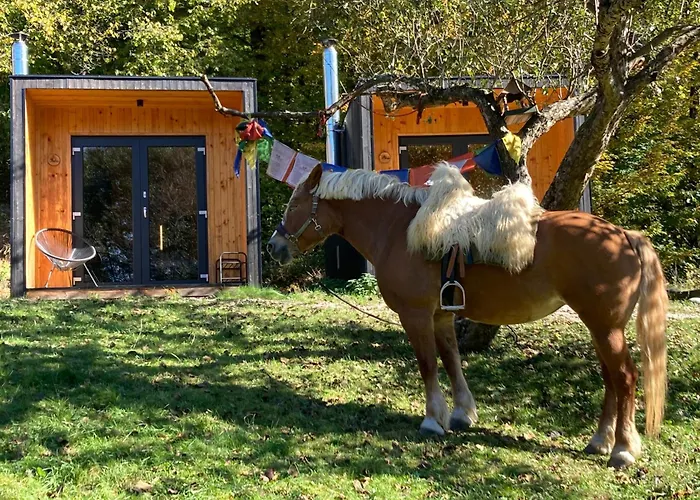 Centra Shambhala 营地