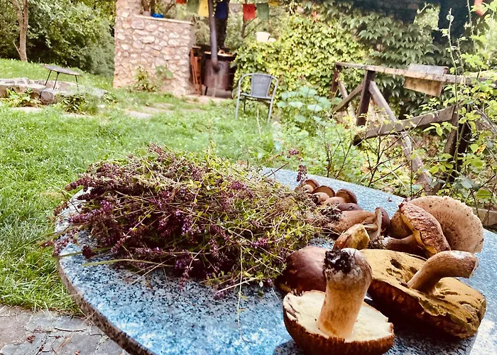 Centra Shambhala 营地