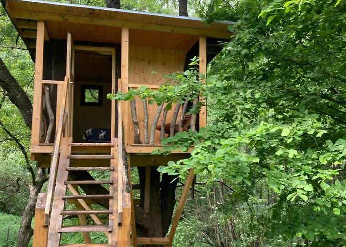 Centra Shambhala * Lucka