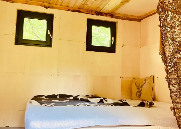 Centra Shambhala 营地