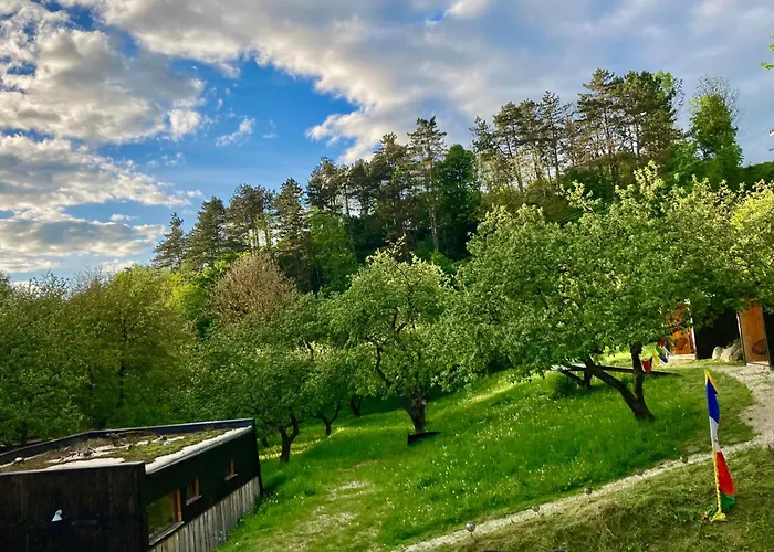 Centra Shambhala 营地