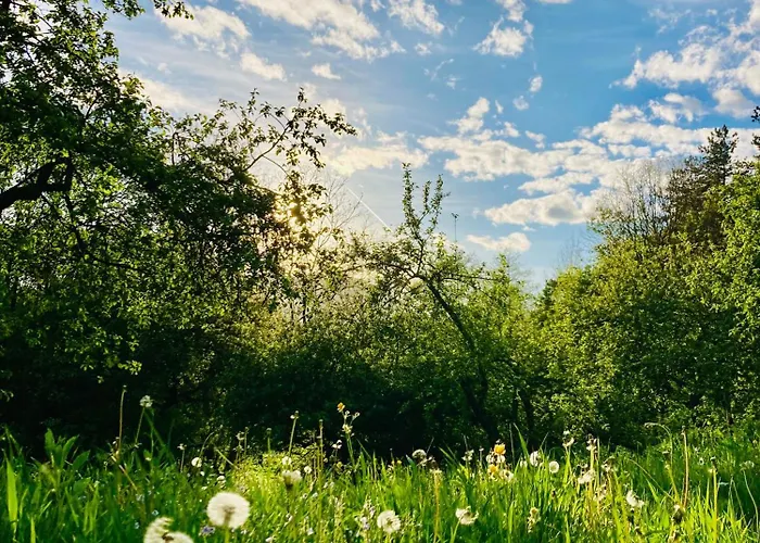 营地 Centra Shambhala *